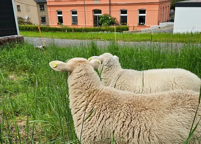 West - Alte Schule Sachswitz