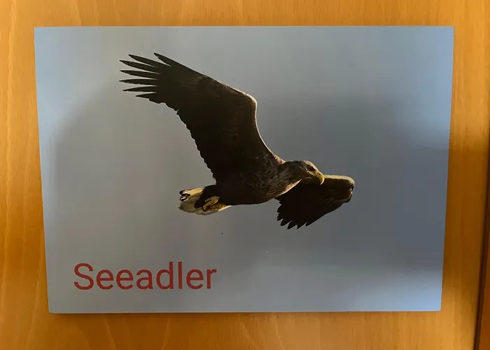Kapitänshaus Scharmberg, Ferienwohnung Seeadler