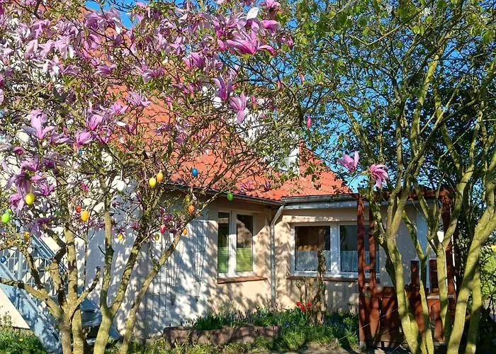 Ferienhof Bauer