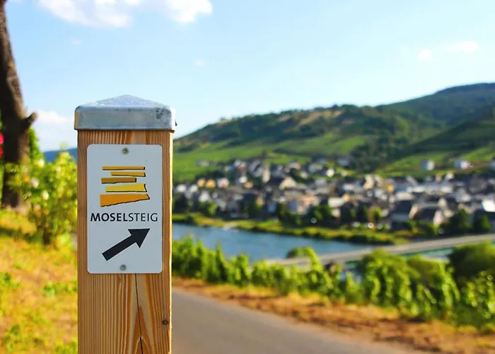 Weingut Mathy-Schanz
