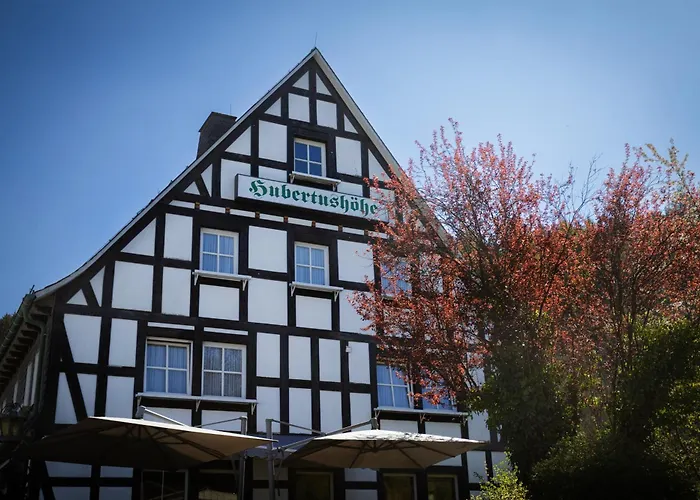 Hotel&Gasthof Hubertushöhe - Ihr Hotel für Urlaub mit Hund