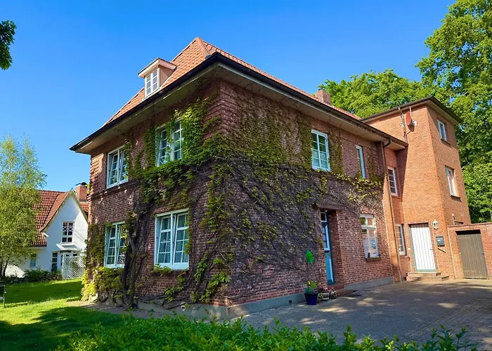 Whg Silbermöwe