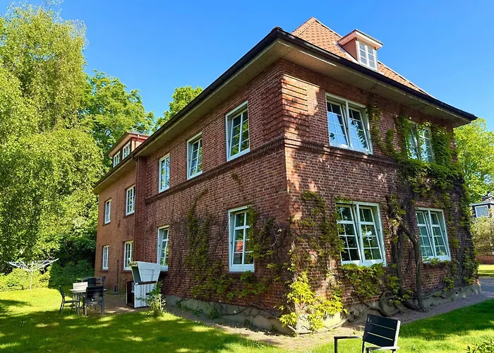Whg Silbermöwe