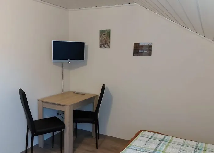 Pension Löffler Steinbach am Wald, Deutschland
