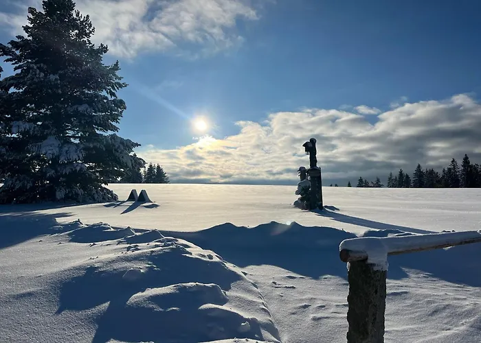 Am Kanadablick