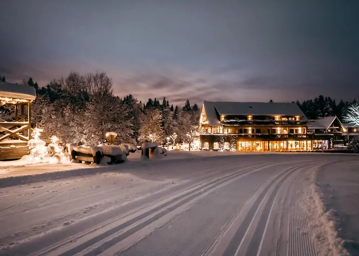 Hotel Grüner Wald