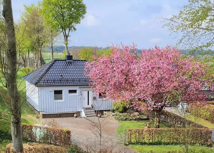 Ferienhaus Kirschblüte
