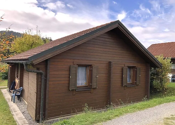 Nr 7
