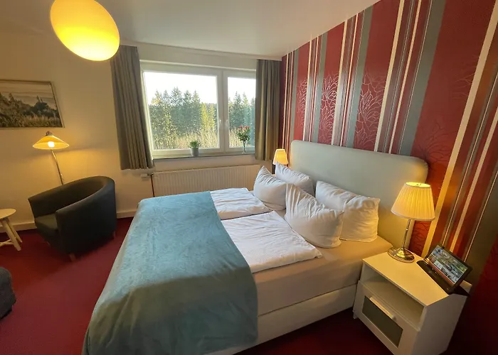Vitalhotel Schulenberg Schulenberg im Oberharz, Germany