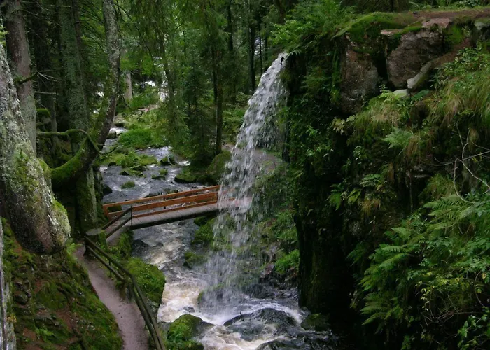 Hotel Grossbach Menzenschwand, Germany