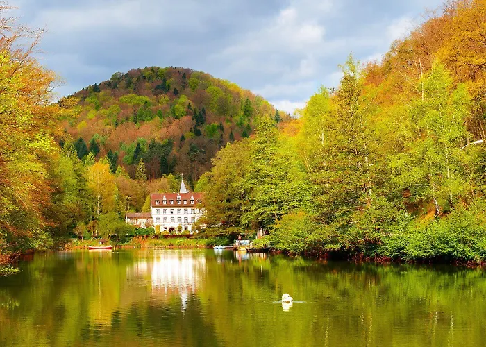 Pfälzer Wald