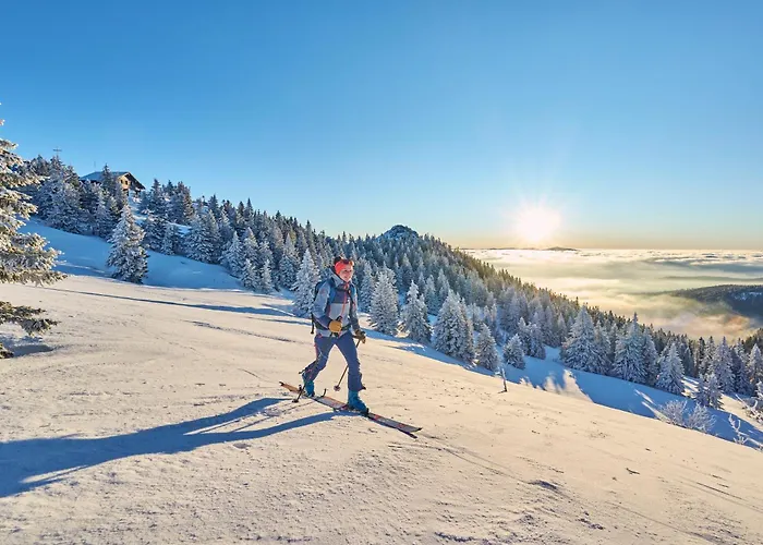 Berghotel Mooshütte Naturidyll auf 950m