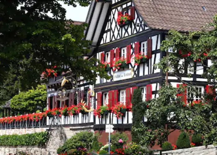 Rebstock Waldulm Hotel Kappelrodeck, Germany