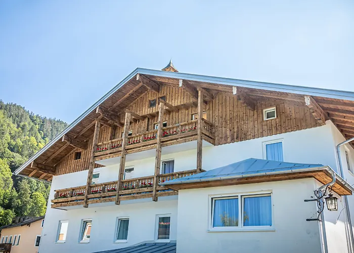 Home Salzberg