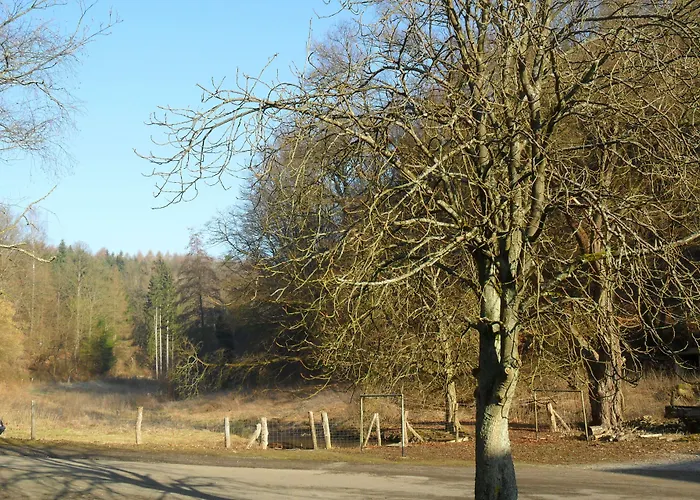Hotel Badstube Otterberg, Germany