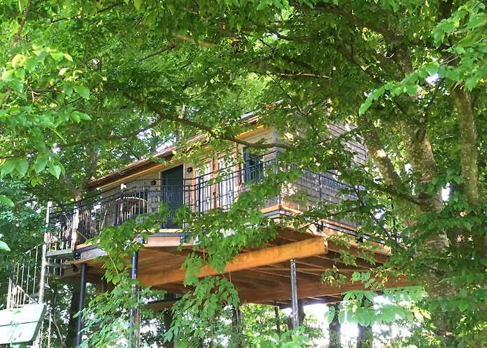 Baumhaus Auf Dem Kellerberg