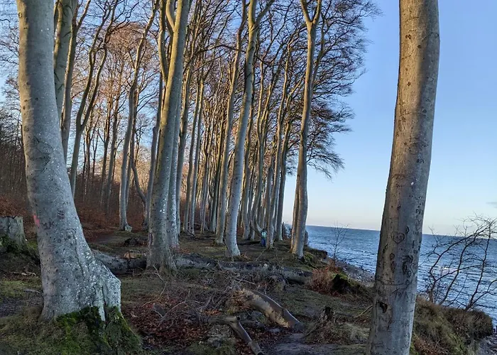 Aktivhof AMSELNEST-gemütliche Ferienwohnung In Strandnähe