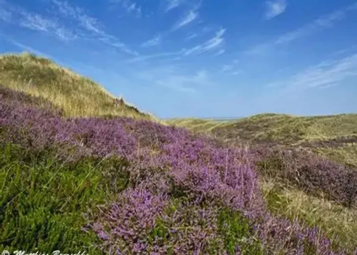 Appartements Post Hiddensee, Vitte