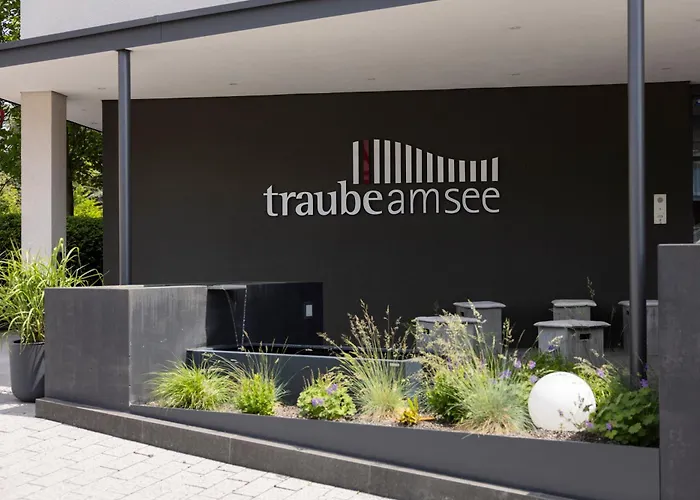 Traube Am