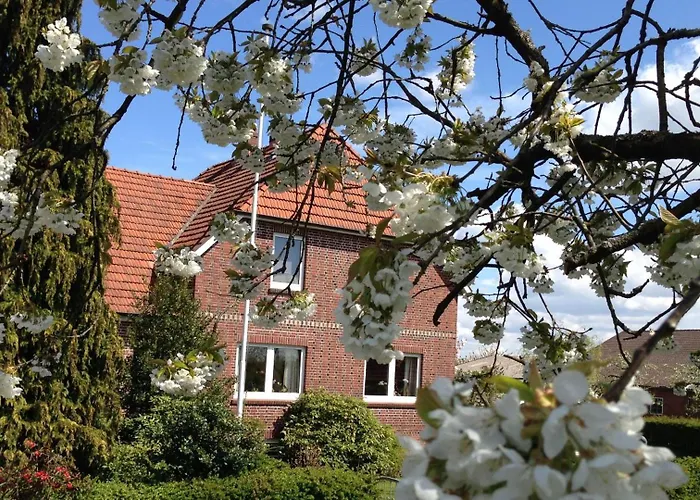 Gosch Am Lühedeich