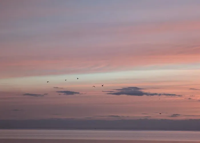 Grüne Düne Meerblick