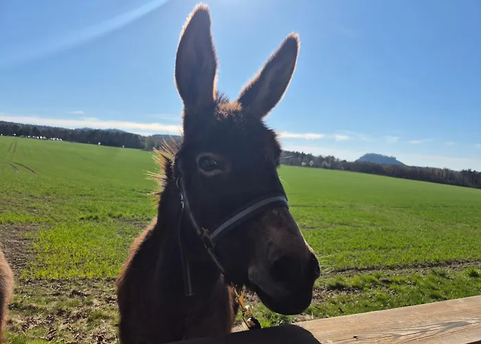 Ferienwohnungen Kleiner Kuhstall