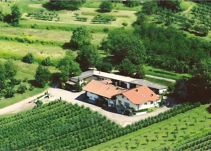 Weingut Ringwald