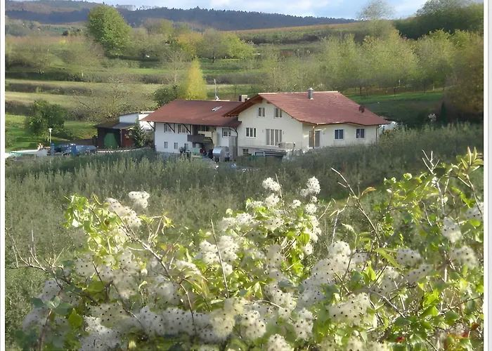 Weingut Ringwald