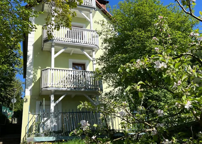 Petite Bellevue
