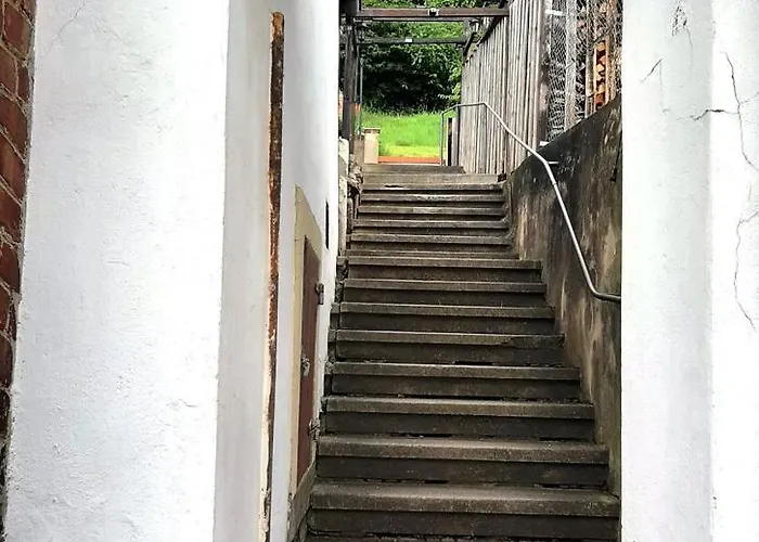 Elbsommer Am Weinberg