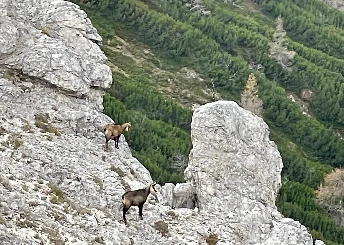 Watzmann