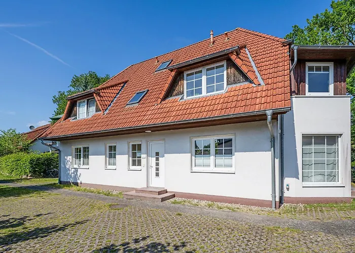 Windflüchter Nordstrand