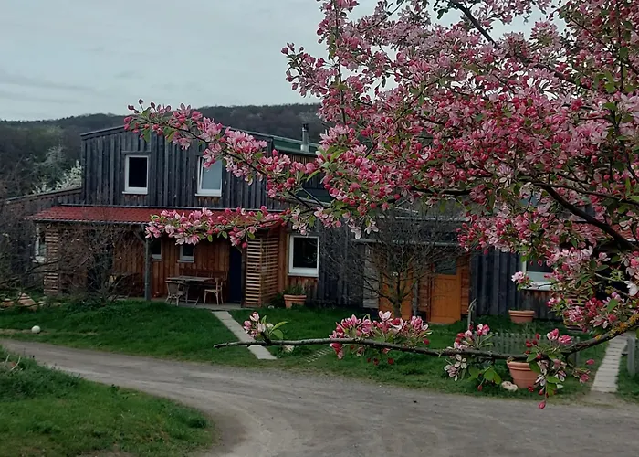 Rech Hof Urlaub Auf Dem Bauernhof
