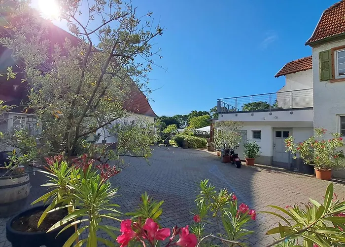 SCHLAFGUT Domhof erleben