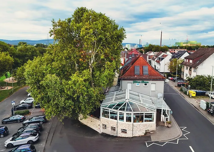 Zum grünen Baum