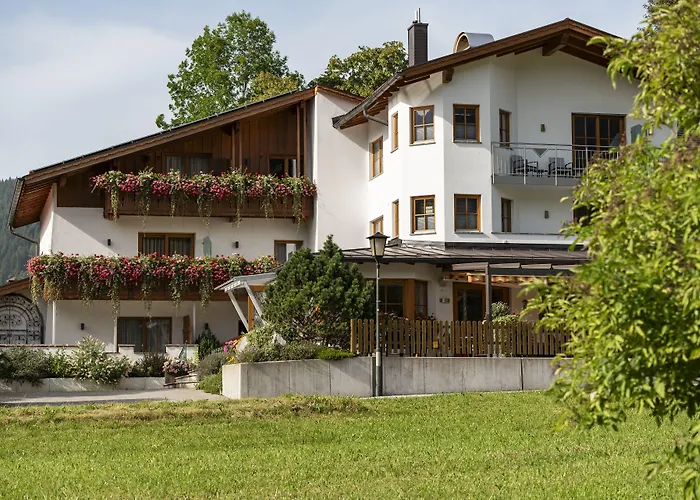 Arnika Garni