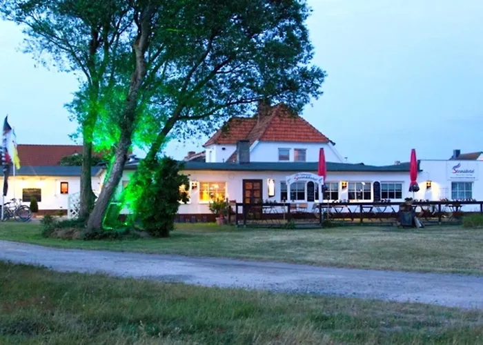 Stranddistel