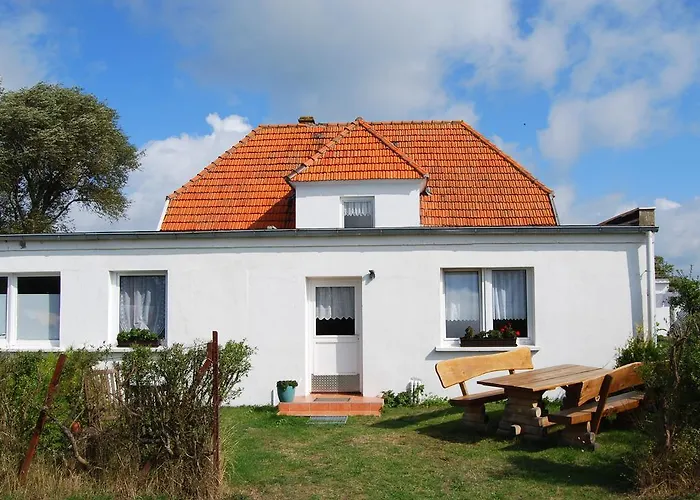 Stranddistel