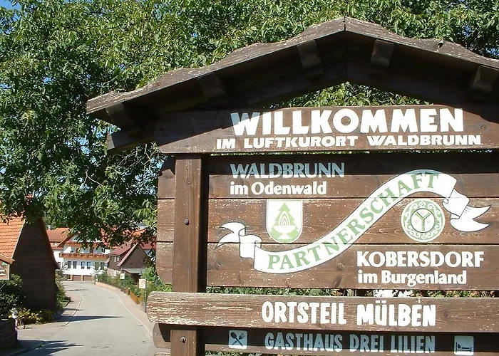 Hotel Drei Lilien