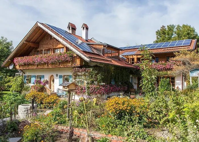 Suzanne'S B&B & Gardens