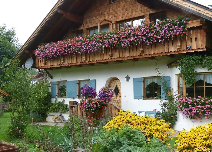 Suzanne'S B&B & Gardens