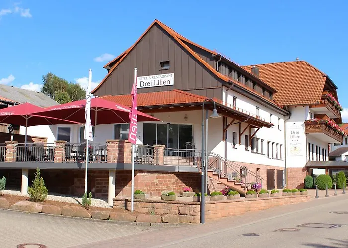 Hotel Drei Lilien