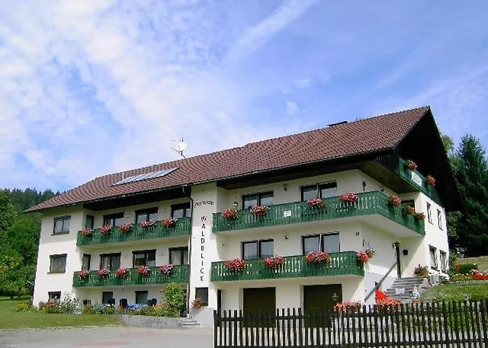 Waldblick