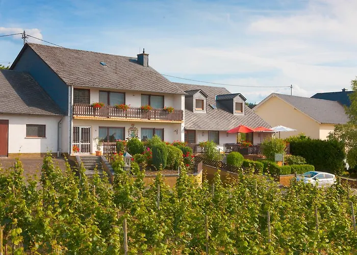 Und Weingut Moselblick