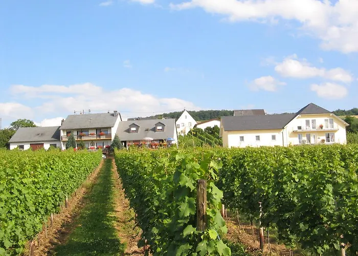 Und Weingut Moselblick