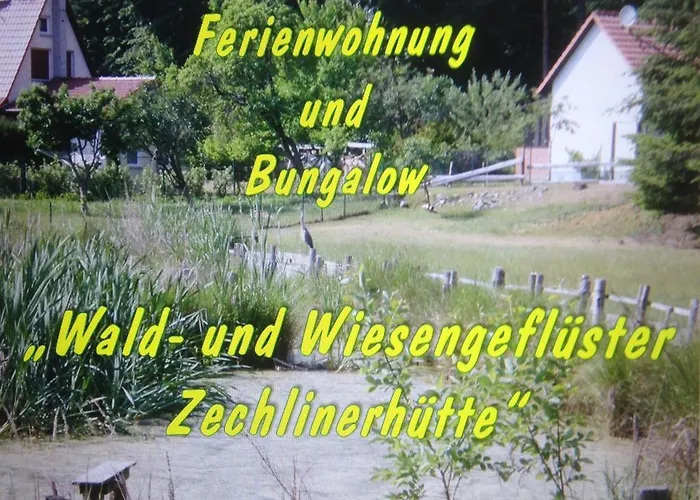Wald&Wiesengeflüster Zechlinerhütte