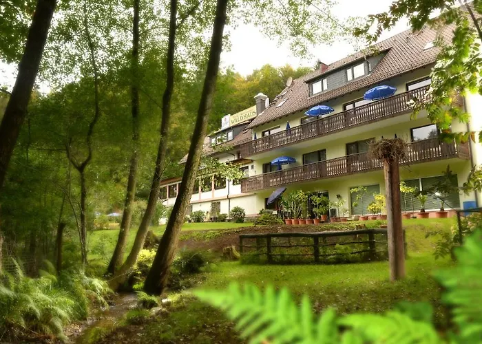 Hotel Waldhaus