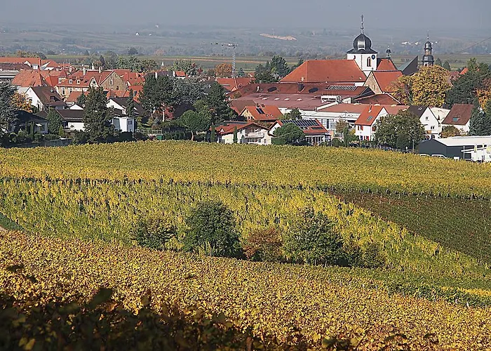 Weinstube Schwarzamsel