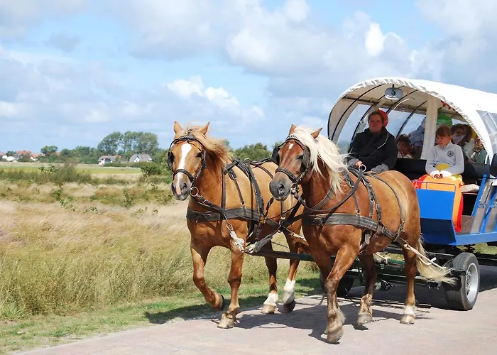 Hotel Heiderose Auf Hiddensee