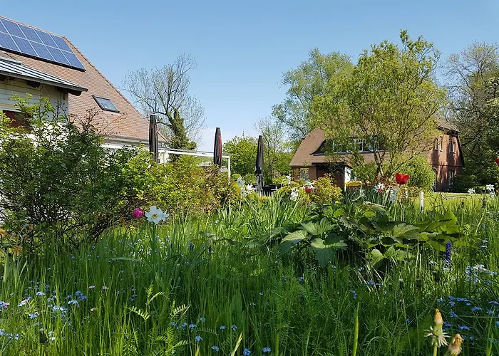 Hotel Alt Wittower Krug